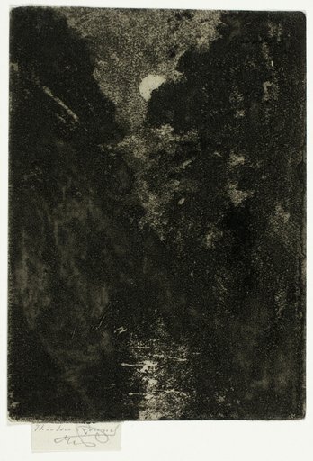 Trees in Moonlight