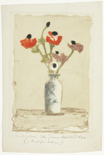 Anemonies