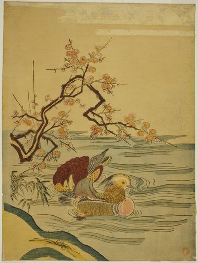 Mandarin Ducks Swimming under Plum Branch
