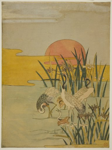Cranes in an Iris Pond at Sunrise