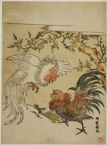 Cocks Fighting Under a Tree