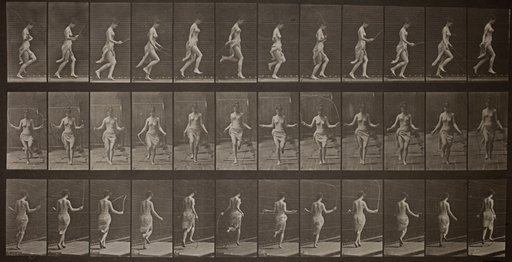 Animal Locomotion, Plate 174