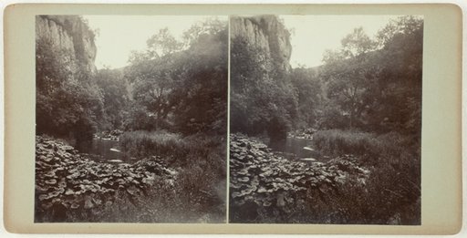 Untitled (Miller's Dale)