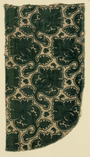 Fragment