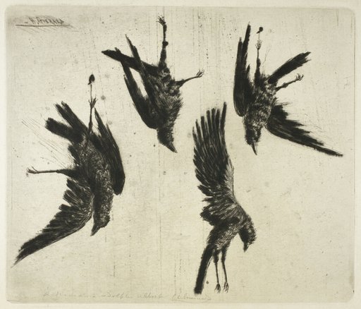 The Four Dead Ravens