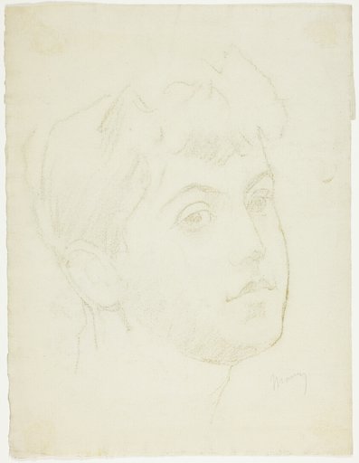 Portrait Head of a Young Woman