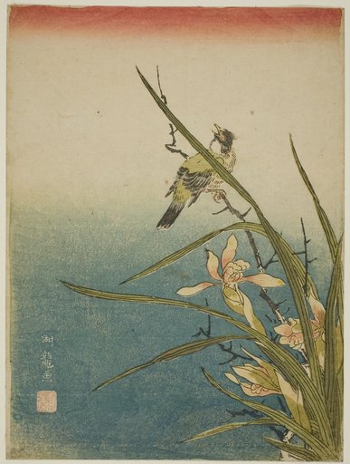 Orchid and Bird