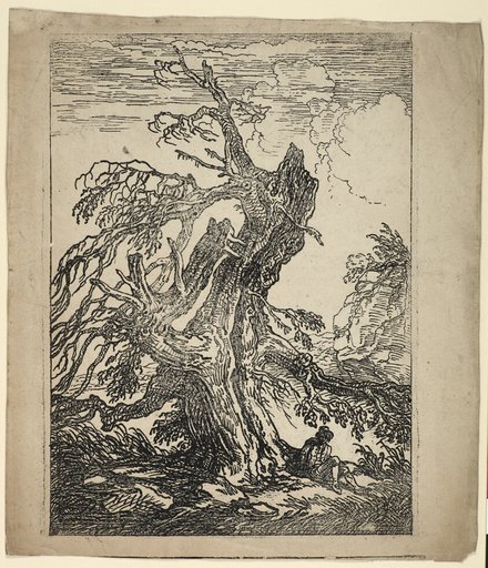 Study of a Tree