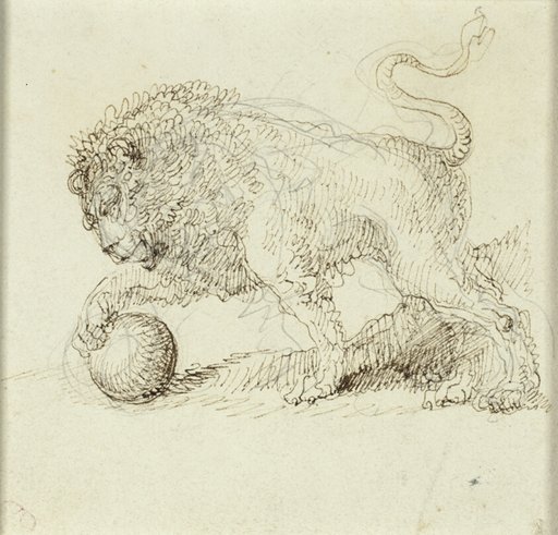 Lion with Ball