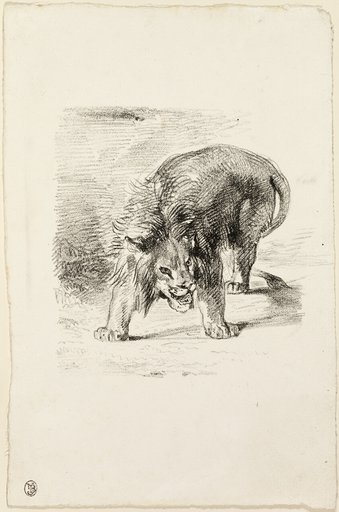 Standing Lion