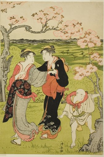 Cherry Blossom Viewing at Asuka Hill
