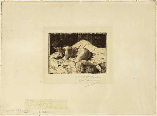 Nude Lying Down
