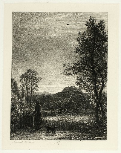 The Skylark