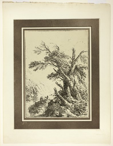 Landscape with Old Trees by Water, from the first issue of Specimens of Polyautography