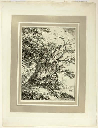 Old Tree, from the first issue of Specimens of Polyautography