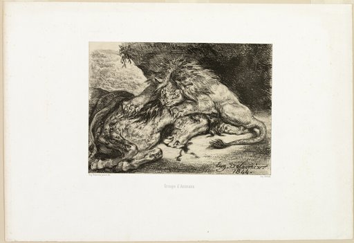 Lion Devouring a Horse