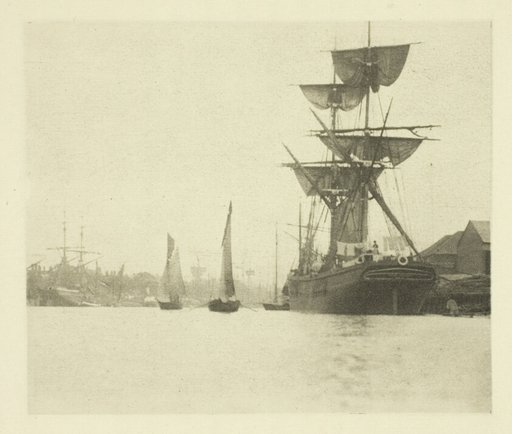 Return of the Shrimpers