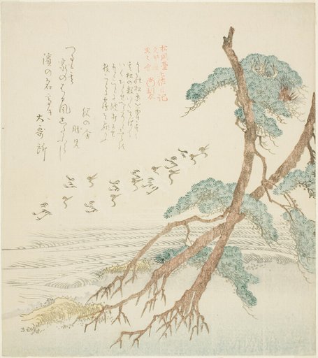 Pine Trees, from the series "Tosa Diary for the Shofudai, Hisakataya, and Bunbunsha (Shofudai Hisakataya Bunbunsha Tosa nikki)"
