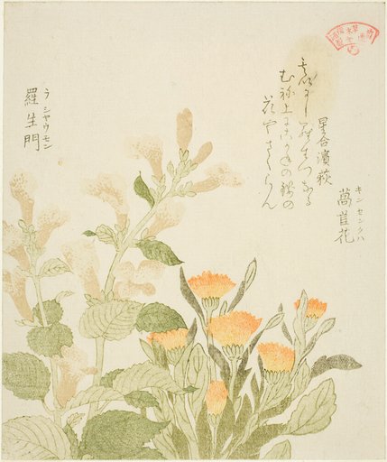 Marigold (Kinsenka) and Rashomon Flowers, from the series "Collection of Plants for the Kasumi Poetry Circle (Kasumi-ren somoku awase)"