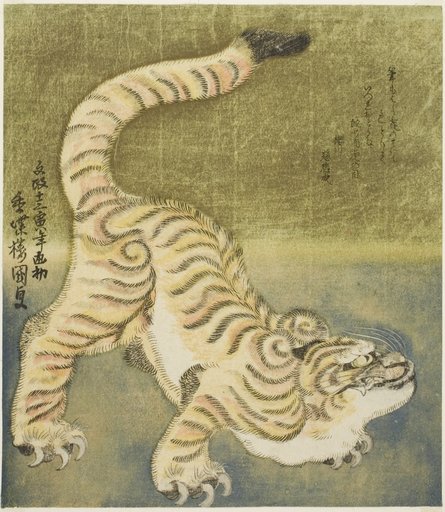 Crouching tiger