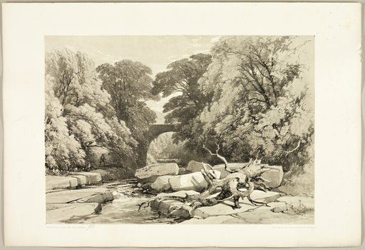 Ash and Alder on the Greta, from The Park and the Forest