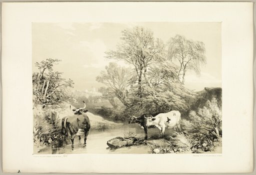 Thorn, Willow, Beech and Birch, from The Park and the Forest