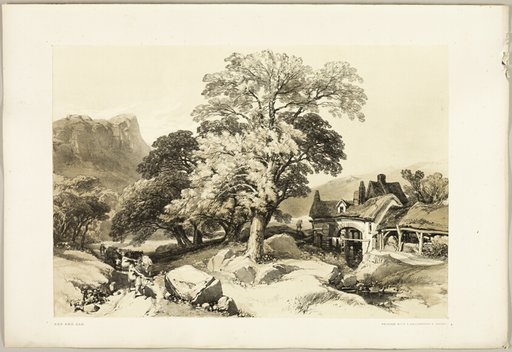 Ash and Oak, from The Park and the Forest
