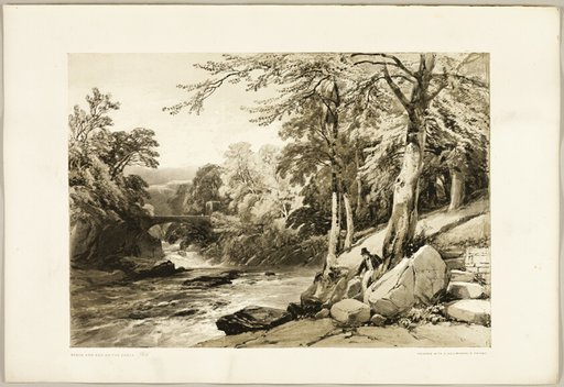 Beech and Ash on the Greta, from The Park and the Forest