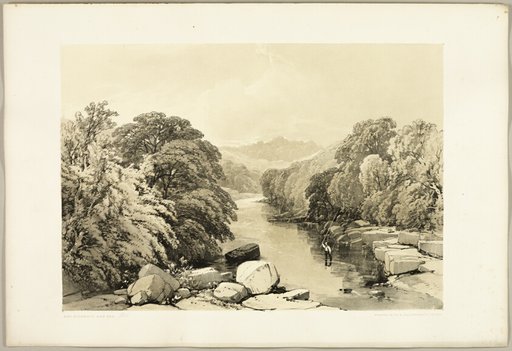 Ash, Sycamore and Oak, from The Park and the Forest