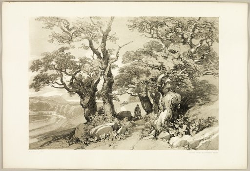 Old Oaks, from The Park and the Forest