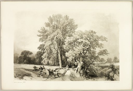 Abele and Oak, from The Park and the Forest