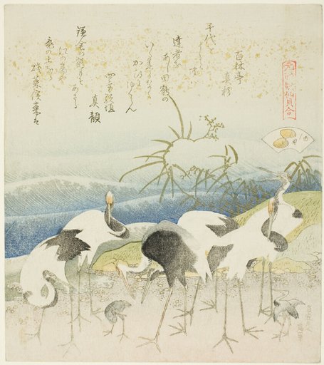 Cranes by the Shore, illustration for The Leg Shell (Ashigai), from the series "A Matching Game with Genroku-period Poem Shells (Genroku kasen kai awase)"