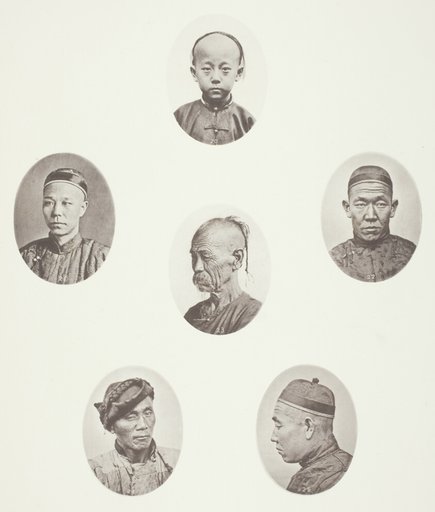 Cantonese Boy; Cantonese Merchant; Mongolian Male Head; A Venerable Head; A Labourer; Mongolian Male Head