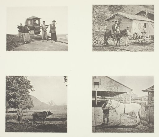 The Sedan; A Military Officer; The Plough; A North China Pony