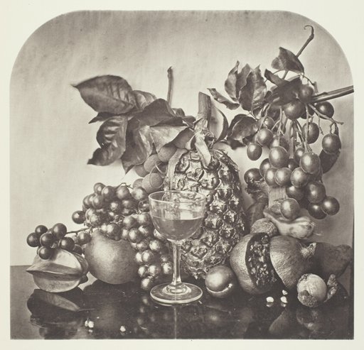 Fruit
