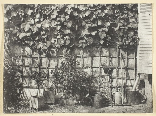 La Treille