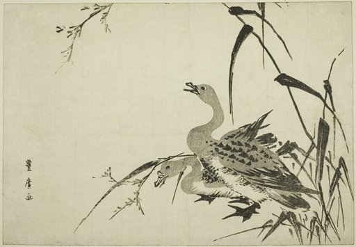 Wild Geese and Reeds