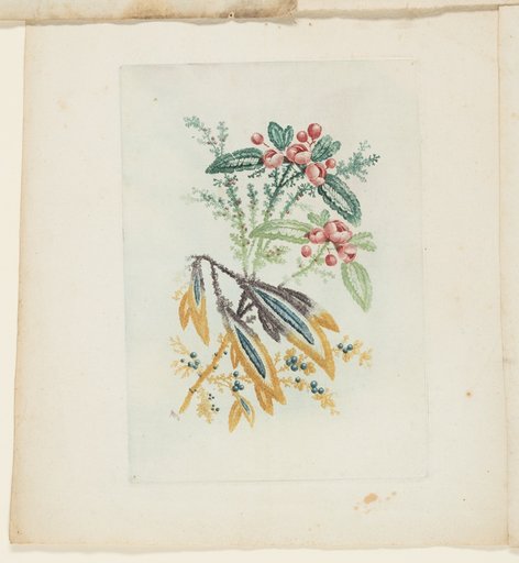 Plate, from New Suite of Notebooks of Ideal Flowers for Use by Draftsmen and Painters
