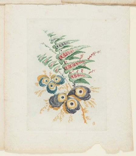 Plate, from New Suite of Notebooks of Ideal Flowers for Use by Draftsmen and Painters