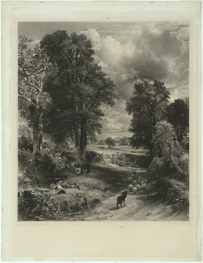 The Cornfield