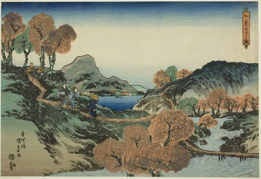 Viewing Maple Trees