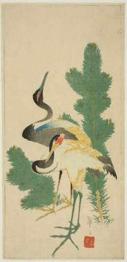 Pine and cranes