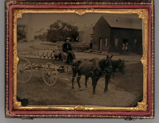 Untitled (Portrait of a Man Seated on top of a Horse-Drawn Carriage)