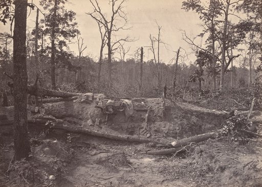 Battle Field of New Hope Church, GA, No. 2