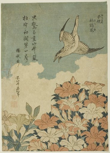 Cuckoo and Azaleas (Hototogisu, satsuki)