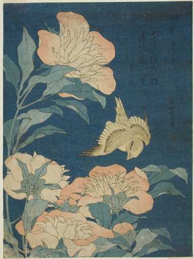 Canary and Peony, from an untitled series