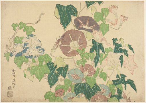 Morning Glories and Tree-frog, from an untitled series of Large Flowers
