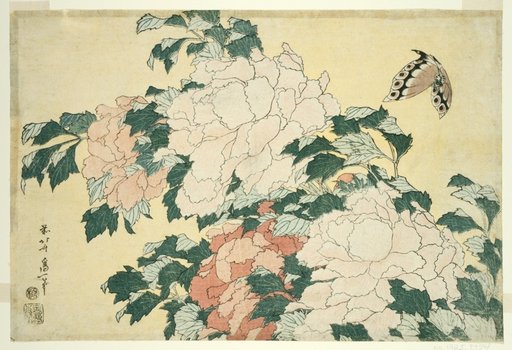 Peonies and Butterfly, from an untitled series of large flowers