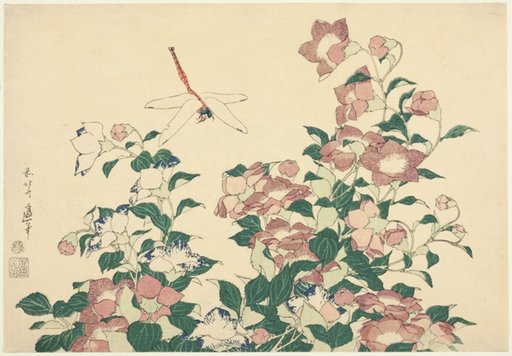 Bell-Flower and Dragonfly, from an untitled series of large flowers