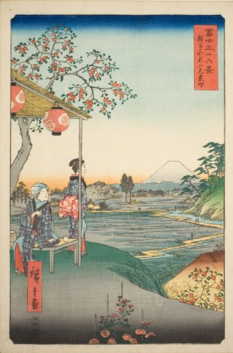 View of Mount Fuji from a Teahouse at Zoshigaya (Zoshigaya Fujimi chaya), from the series "Thirty-six Views of Mount Fuji (Fuji sanjurokkei)"